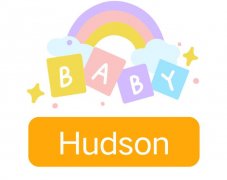 Hudson: Baby Boy Name Meaning and Origin