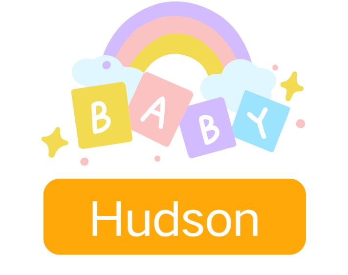 Hudson: Baby Boy Name Meaning and Origin