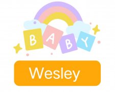 Wesley: Baby Boy Name Meaning and Origin